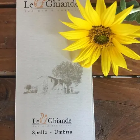 Летний дом Le Ghiande