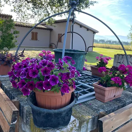 Le Ghiande 컨트리하우스 *