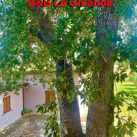 Le Ghiande * スペッロ