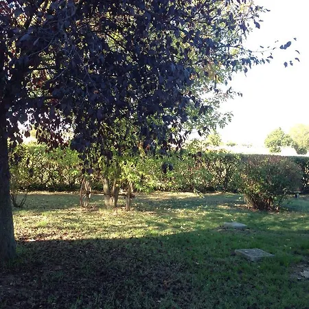 Le Ghiande