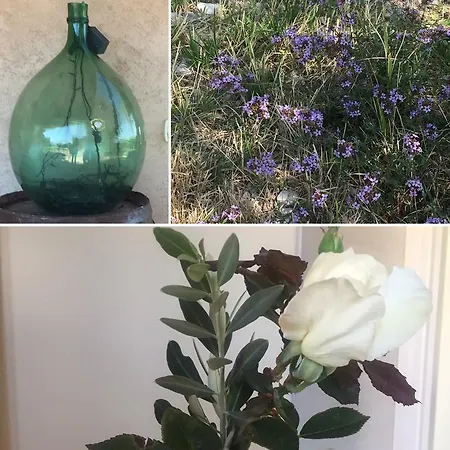 Le Ghiande Летний дом