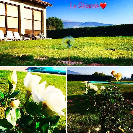 Le Ghiande 컨트리하우스 *