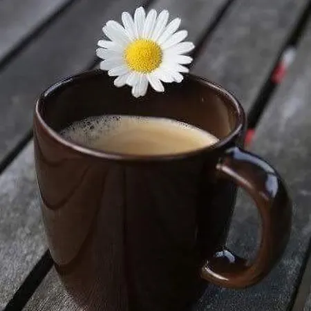 Le Ghiande 컨트리하우스 스펠로