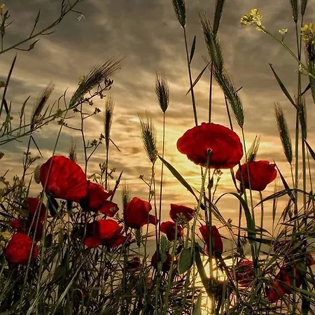 컨트리하우스 Le Ghiande