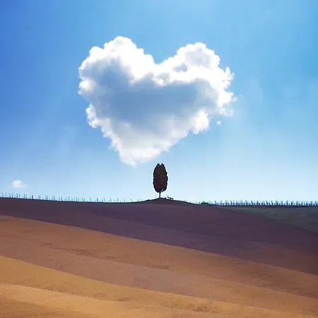 Le Ghiande 스펠로