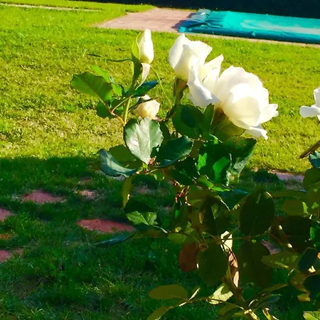 Le Ghiande 컨트리하우스 *