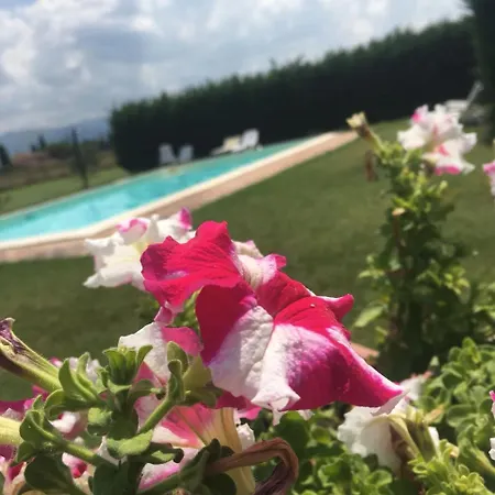 Le Ghiande 컨트리하우스 *