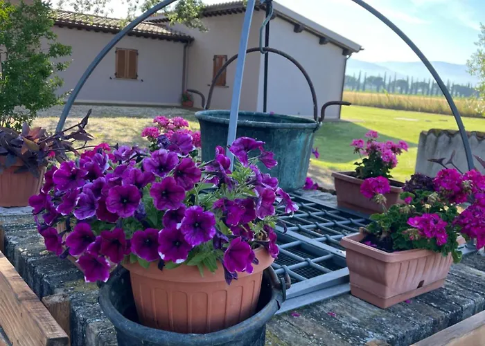 Le Ghiande Gospodarstwo wiejskie *