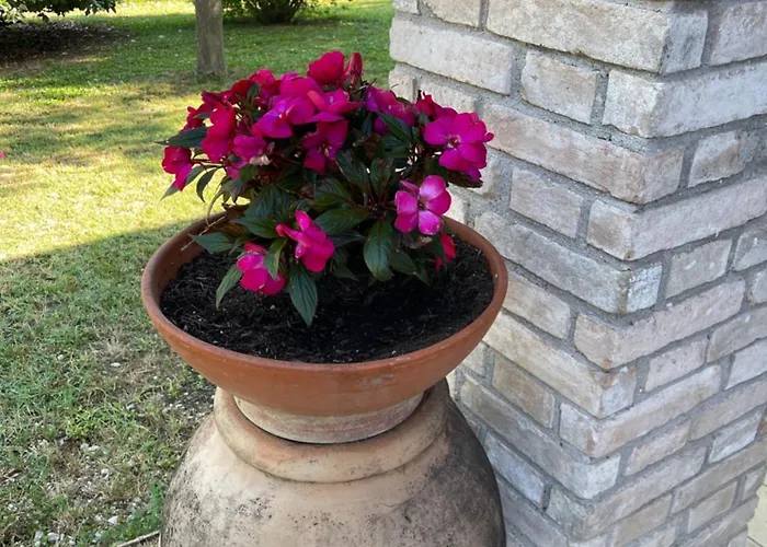 Le Ghiande Gospodarstwo wiejskie