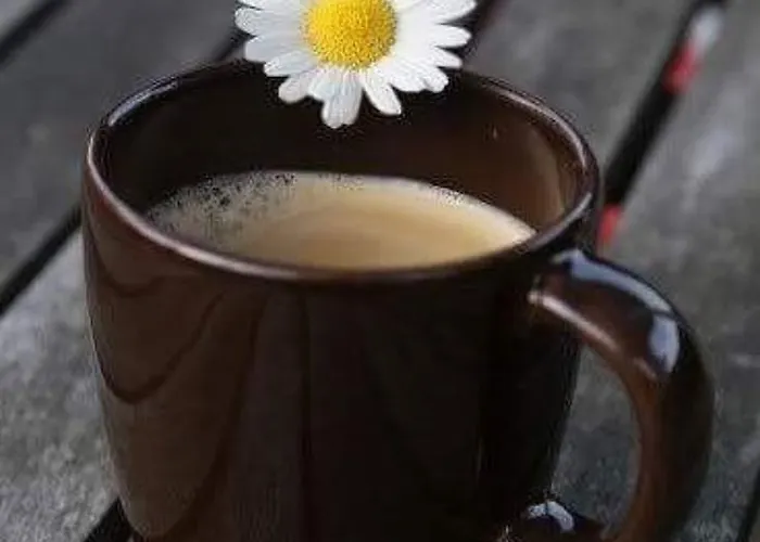 Le Ghiande Gospodarstwo wiejskie Spello