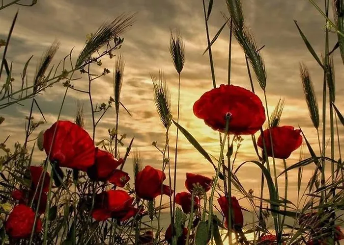 Casa de Campo Le Ghiande