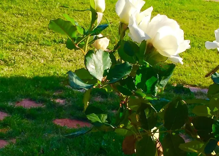 Le Ghiande Casa de Campo *